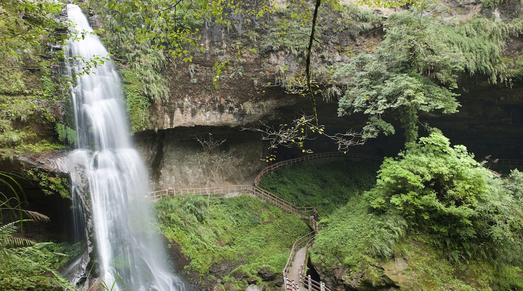 Zone rĂ©crĂ©ative de la forĂȘt de Shanlin Xi