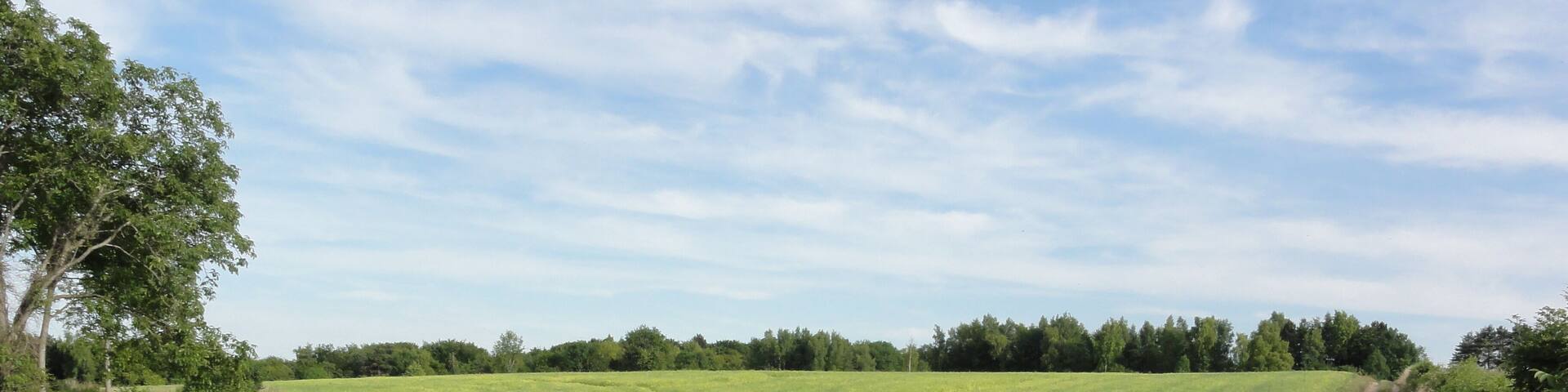 Saint-Erme-Outre-et-Ramecourt (Aisne) chemin du vieux Laon menant au Camp des Romains