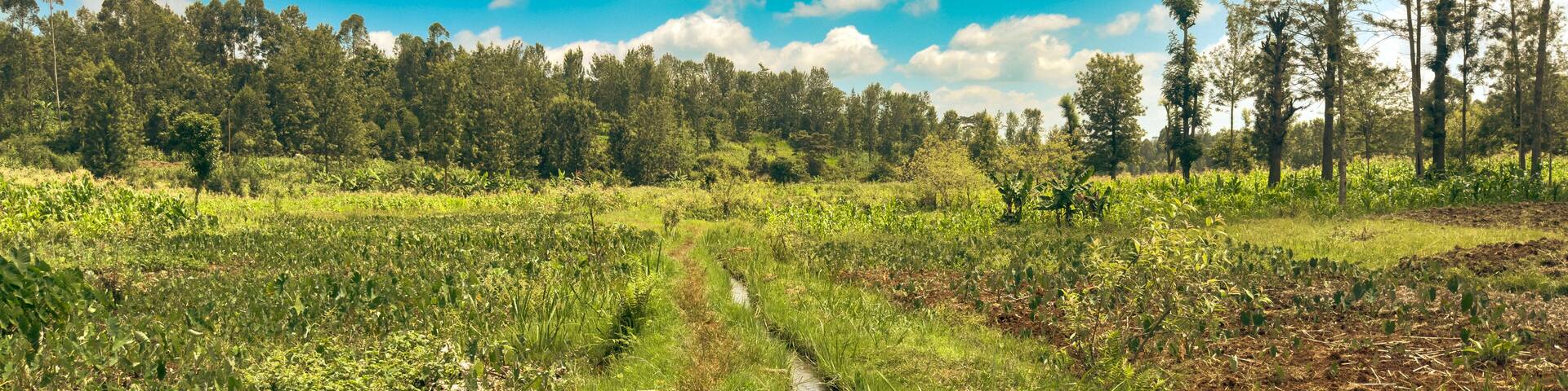 Scenic view of a river amidst small agricultural farms in Murang’a County, Kenya