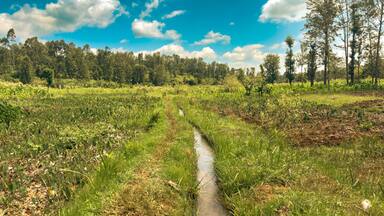 Scenic view of a river amidst small agricultural farms in Murang’a County, Kenya