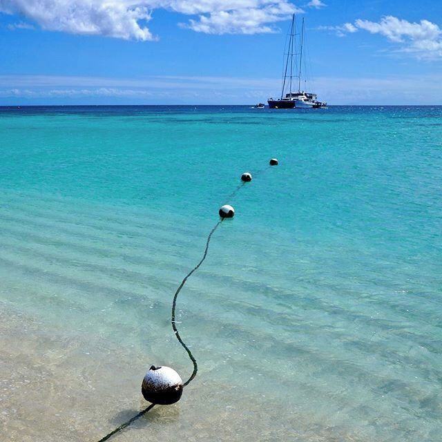 The beaches around Cairns might not be the best, but a short boat ride out to sea and you could be relaxing in the crystal clear waters of Michaelmas Cay. Bliss!

#waterlust #colorful

www.cheskiesgaplife.com