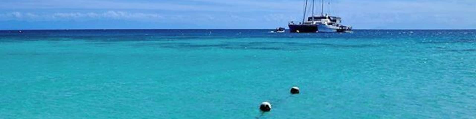 The beaches around Cairns might not be the best, but a short boat ride out to sea and you could be relaxing in the crystal clear waters of Michaelmas Cay. Bliss!
#waterlust #colorful
www.cheskiesgaplife.com