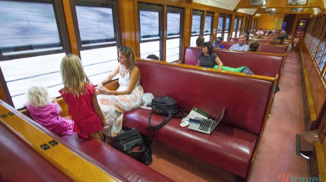 One of best things to do in Cairns is ride the Kuranda Scenic Railway. It's a 90 minute journey that takes you down the mountain to Cairns passing waterfalls, scenic lookouts and over old bridges.
Catch the Skyrail up the mountain from Cairns and then catch the train back down. Or, vice versa.