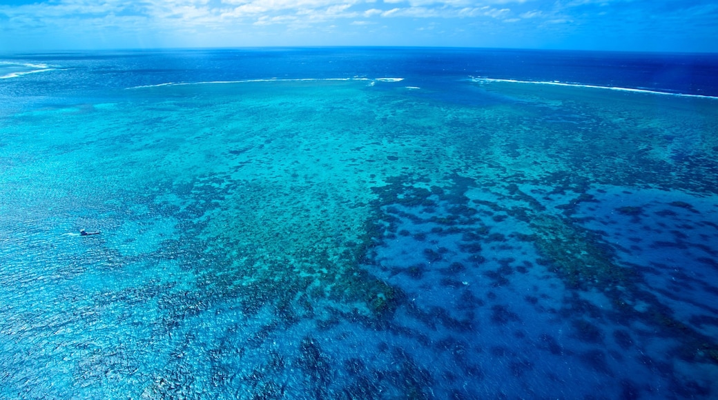 Cairns which includes coral, landscape views and tropical scenes