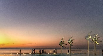 The lagoon is a great place to watch the sun setting in Cairns.
www.cheskiesgaplife.com
#colorful