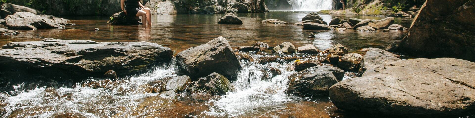Cairns featuring forest scenes, a cascade and a river or creek