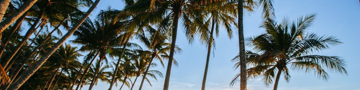 Cairns showing a sunset, general coastal views and a beach