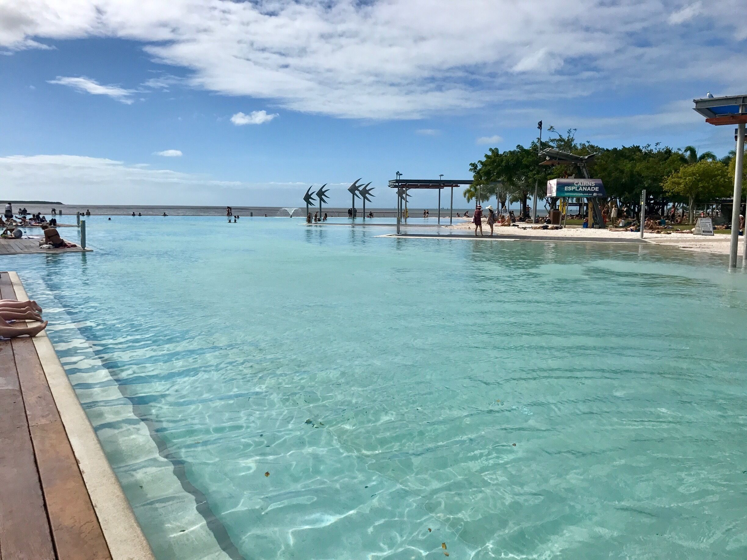 A clear blue pool with a wooden deck, palm trees, and a sign for Cairns Esplanade.
