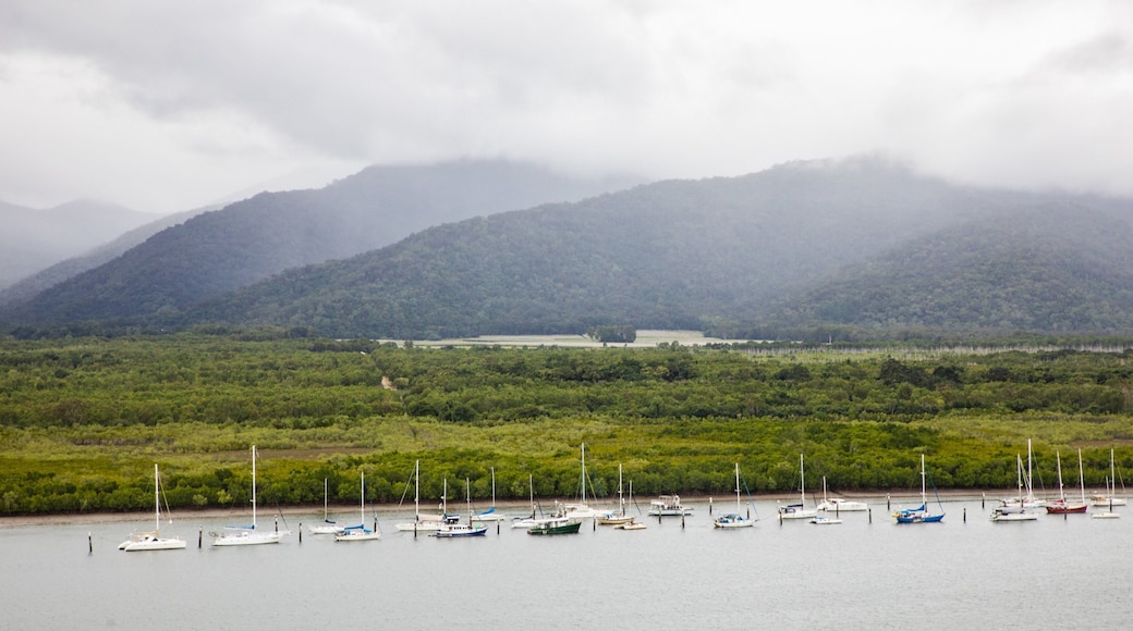 Cairns featuring general coastal views, tranquil scenes and a bay or harbor
