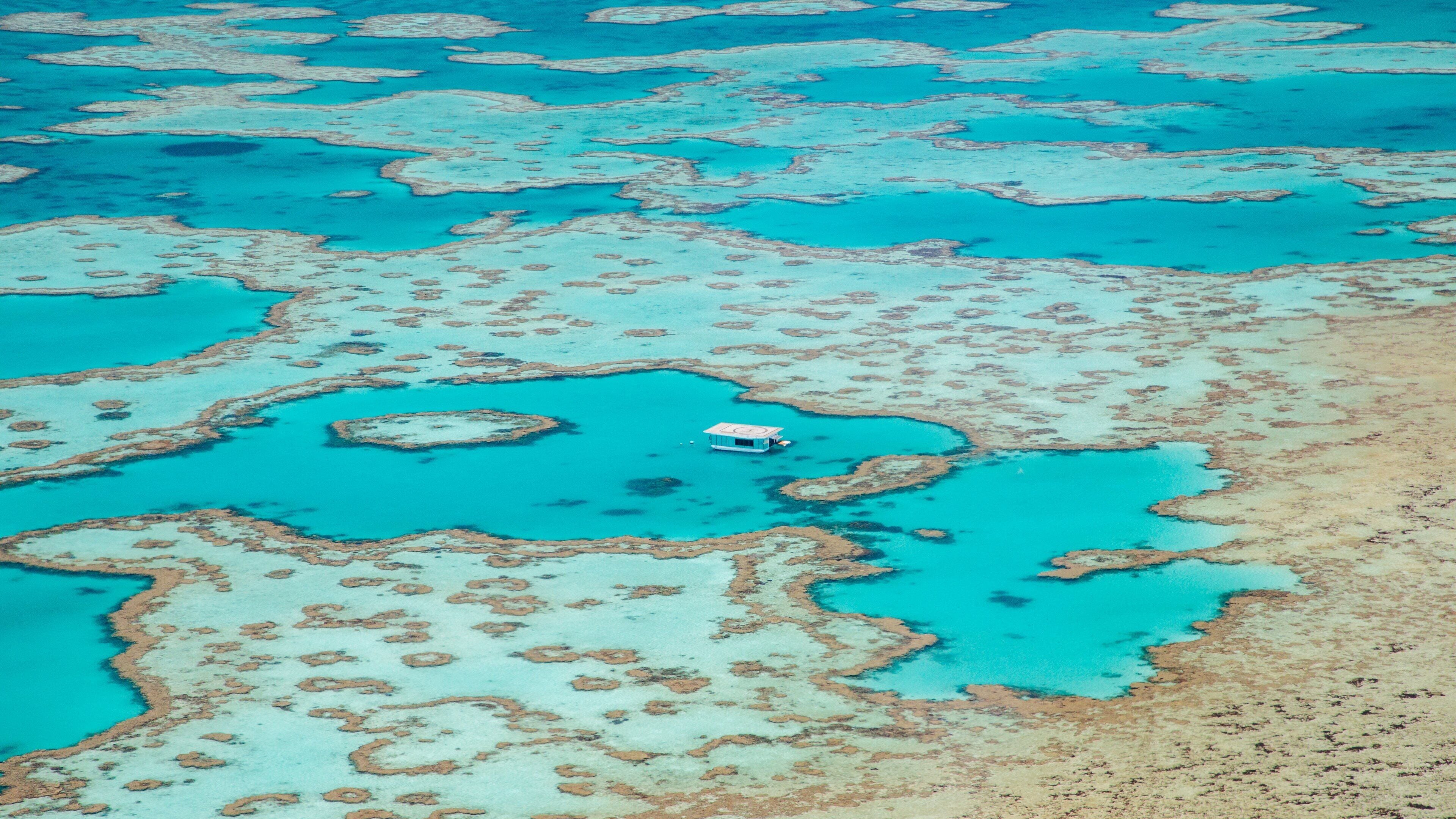 Cairns showing landscape views and colorful reefs