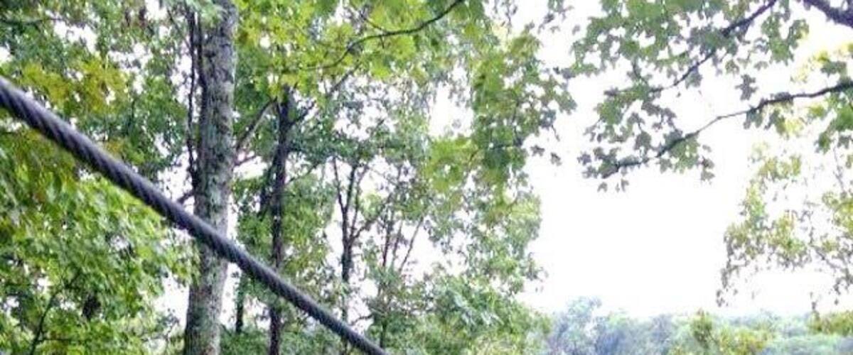 A person zip-lining through a forest.