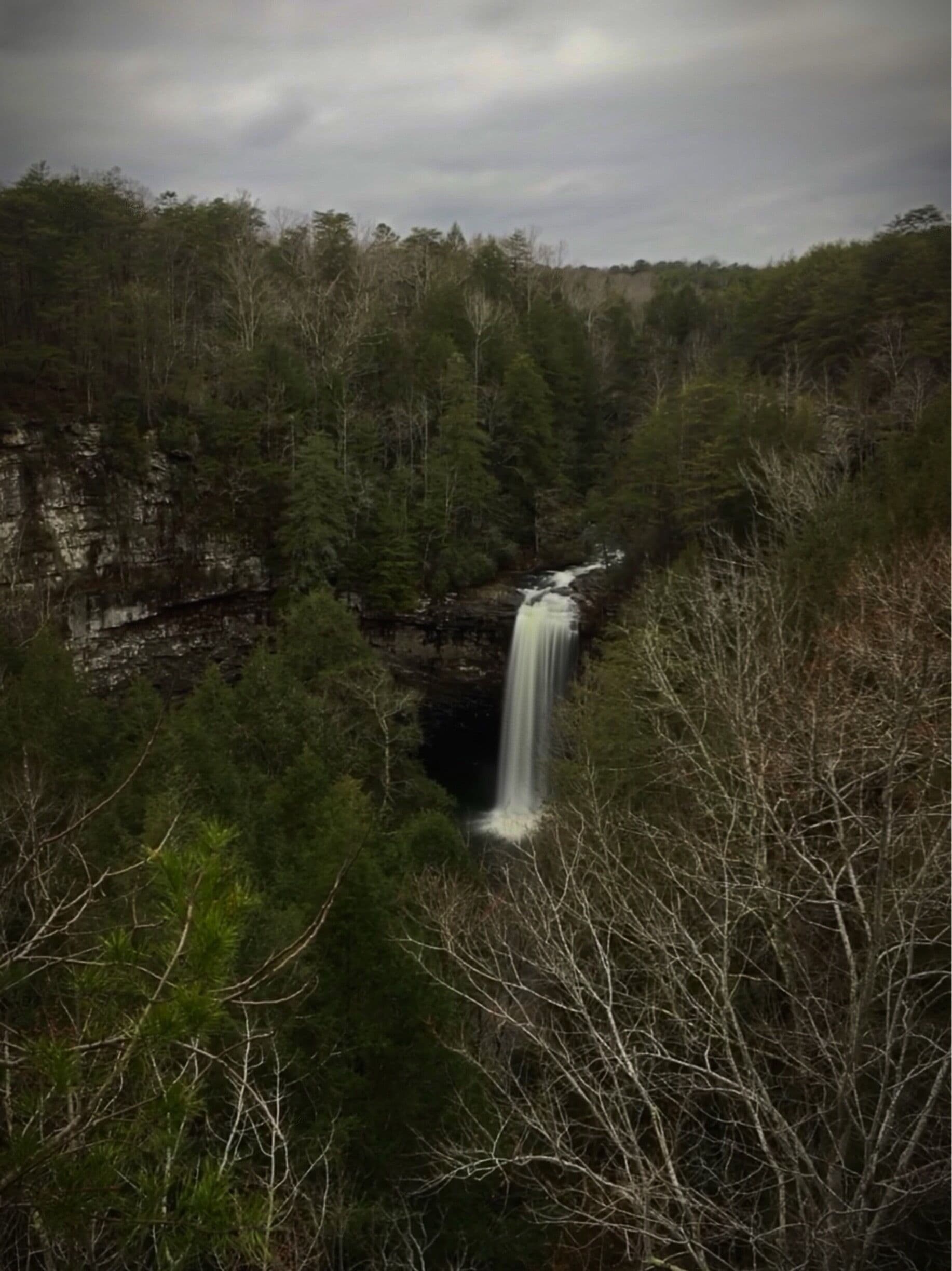 A waterfall surrounded by dense forest.