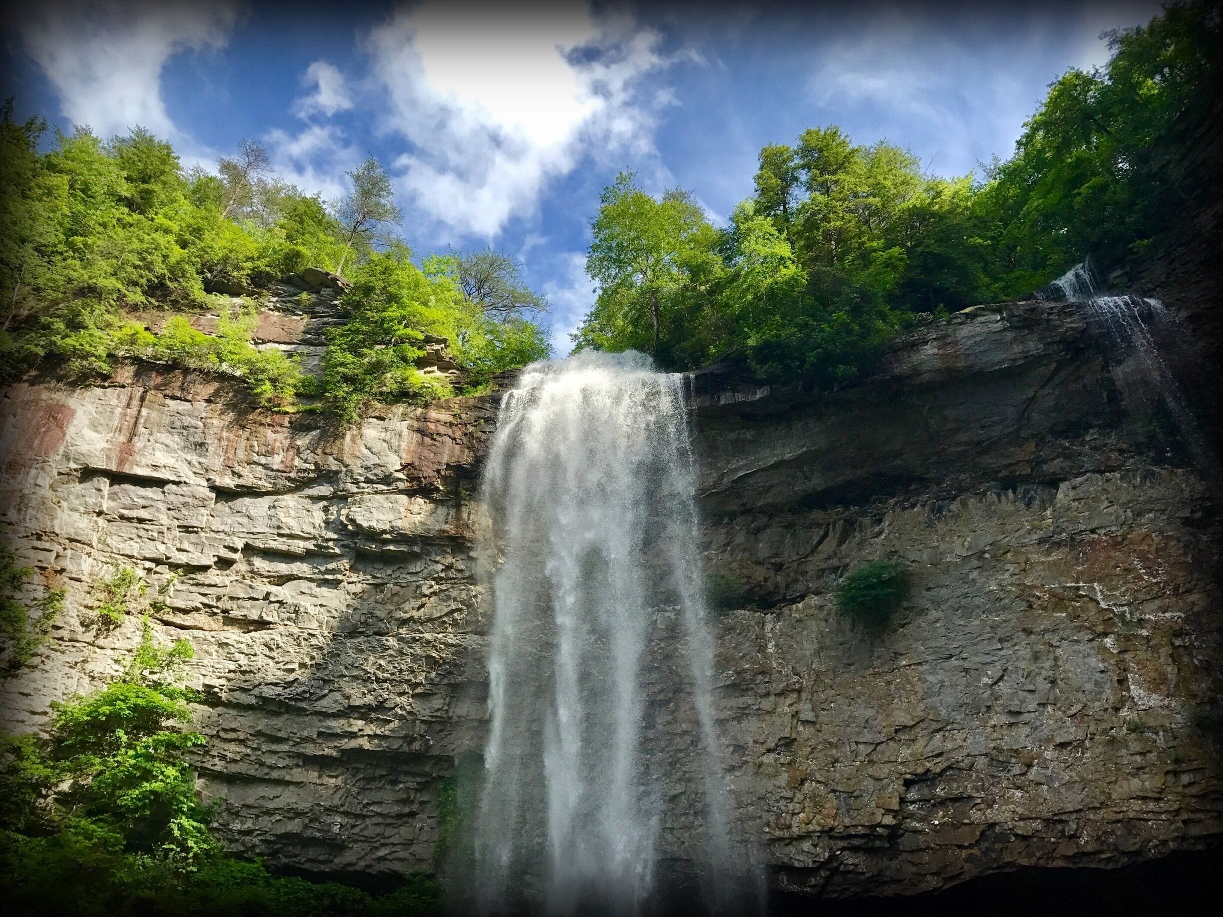A waterfall cascading down a rocky cliff surrounded by lush greenery.