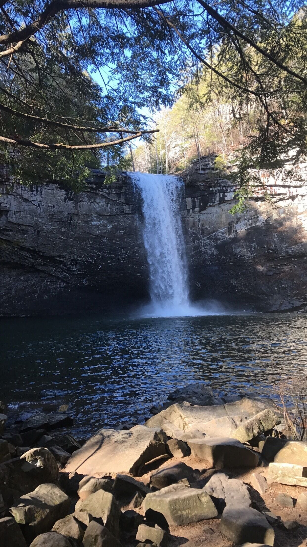 A waterfall cascading into a calm pool surrounded by rocks and trees.