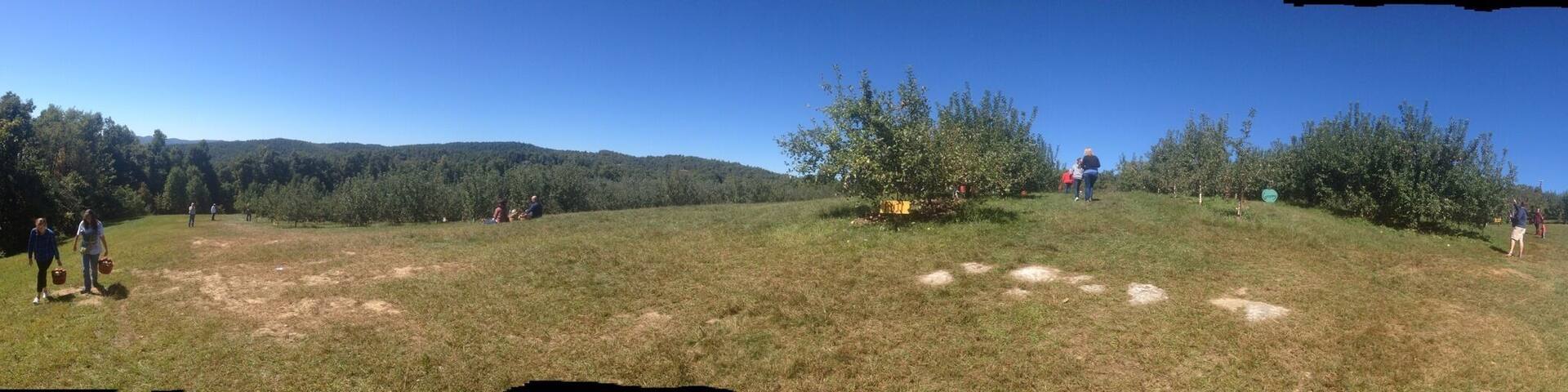 Fall destination! Awesome apple cider slushes and doughnuts.