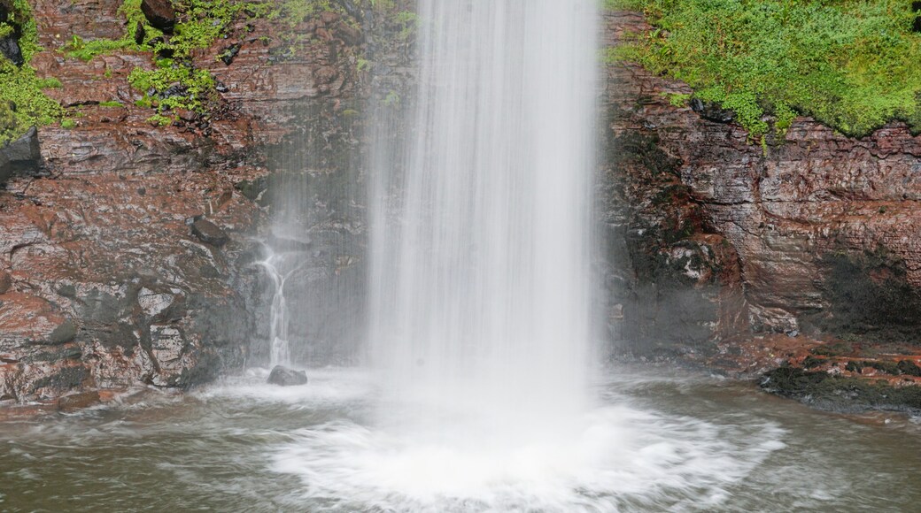 Chania Waterfalls in the Aberdare National Park of Kenya