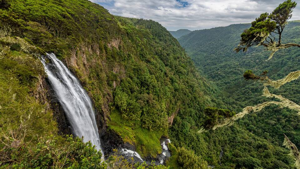 A waterfall cascading down a lush green hillside surrounded by dense forest.