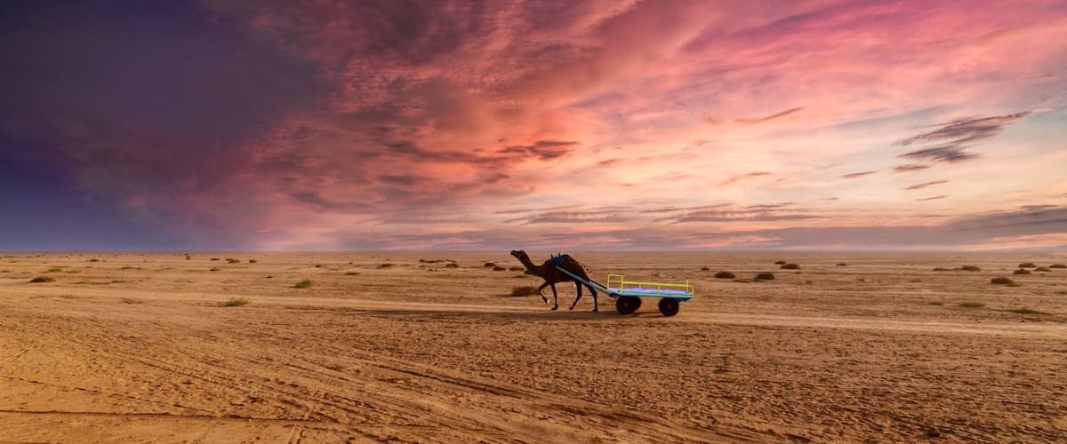 A camel pulling a cart in a desert landscape with a dramatic sky.