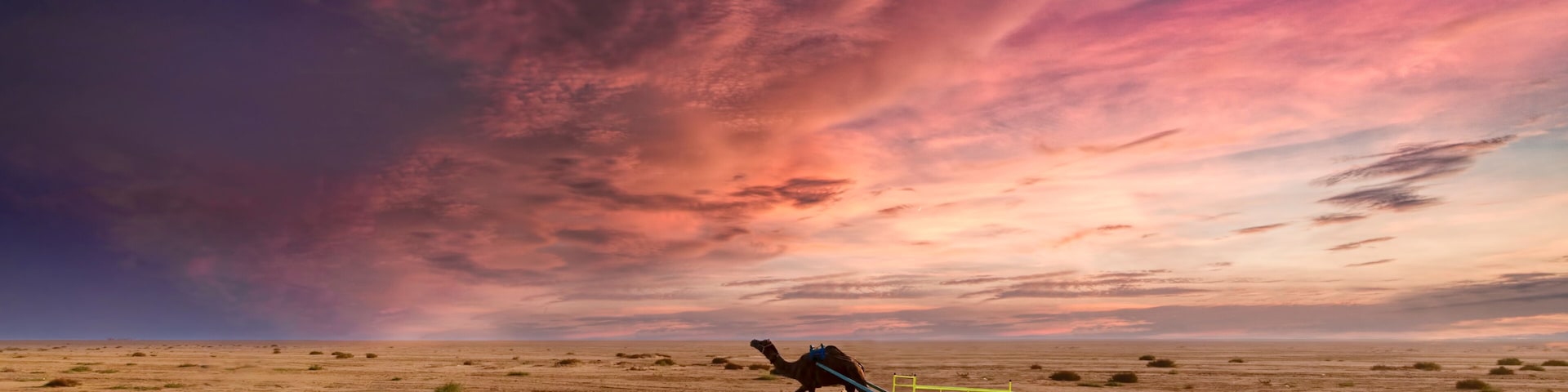 A camel pulling a cart in a desert landscape with a dramatic sky.
