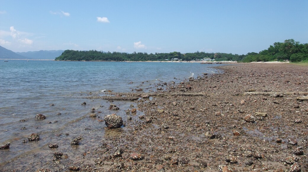 Photo of Wu Kai Sha Tsui