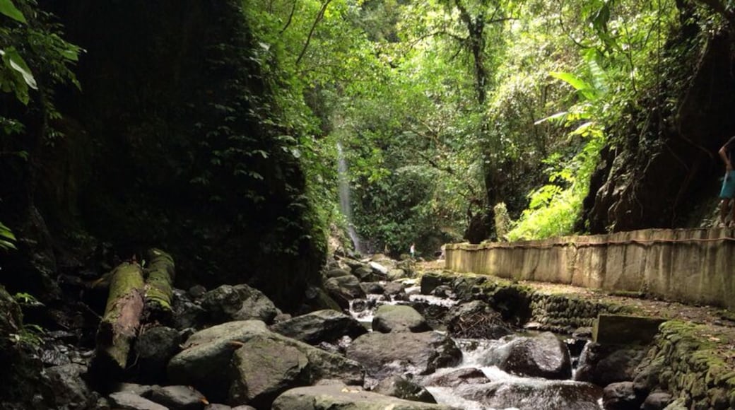 Brook near the Mother Falls in San Luis, Aurora, Philippines. Clear drinkable water! :D #water #brook #river #falls #bodyofwater #rocks