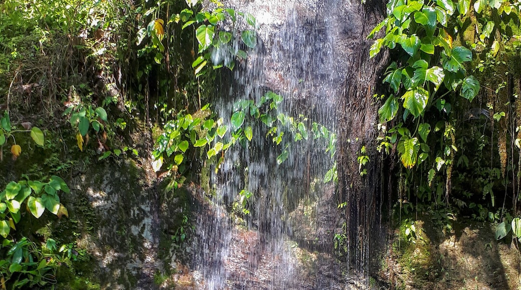 Chasing the rainbow gaming.
Ahhh! How beautiful it is?
#waterfalls #wonderfalls
#naturegaming
#naturelover
#naturalpool
#rainbow
#traveler