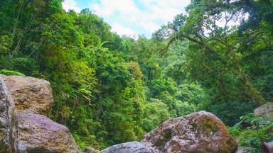 Lush rainforest with huge boulders on the way to Ditumabo Water Falls. A 30 minute trek from the closest road.