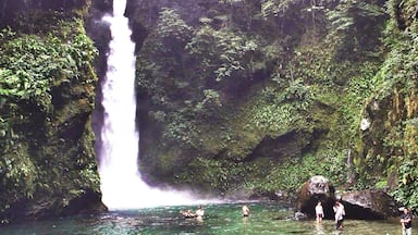 A waterfall in a lush, green forest.