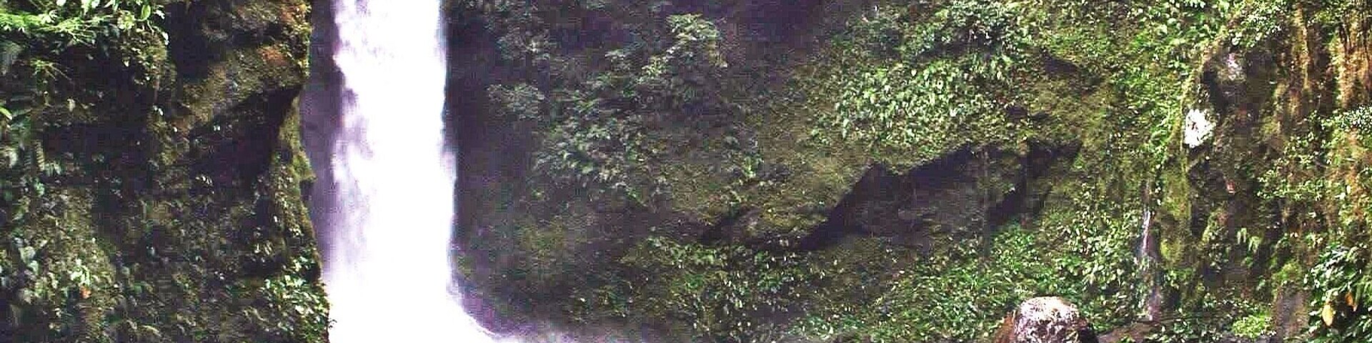 After 30mins of trekking. Finally!