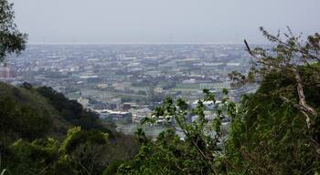 Dajia Township 大甲鎮