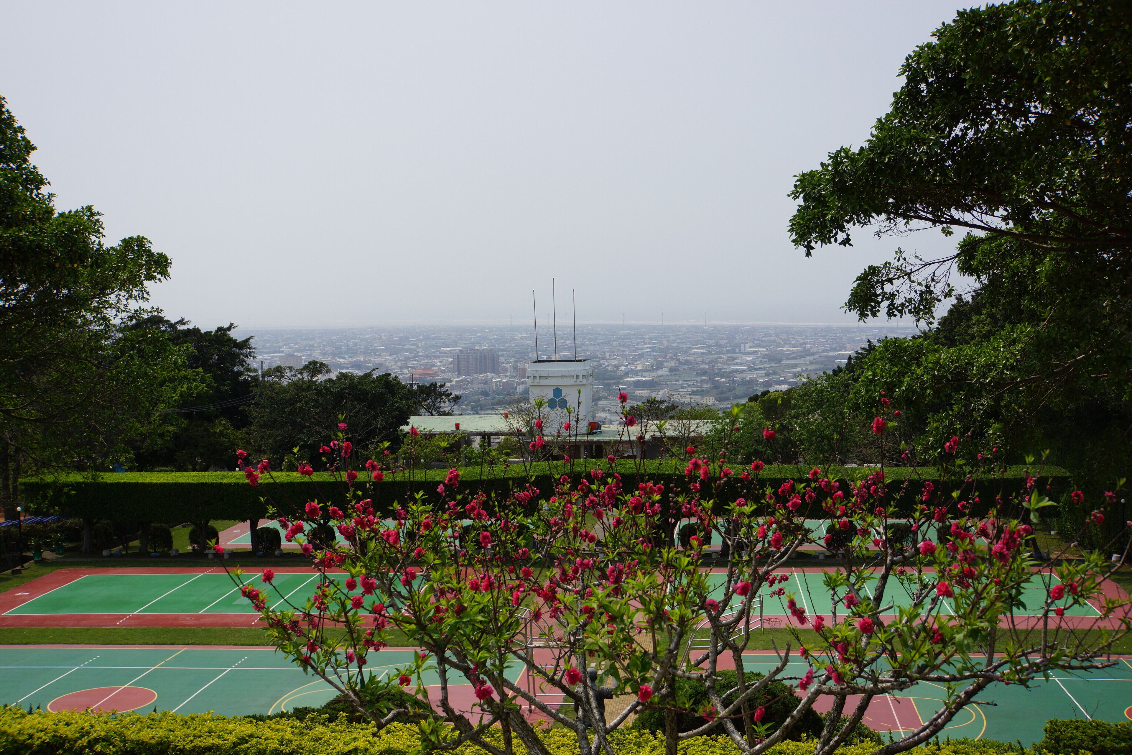 永信運動公園 Yongxin Sports Park