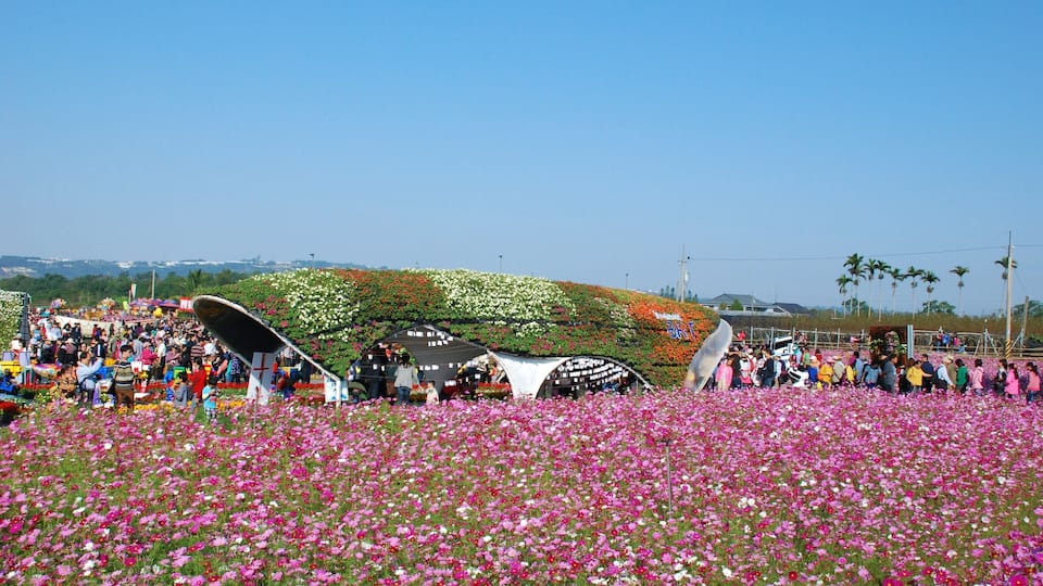 426, Taiwan, 台中市新社區協成里