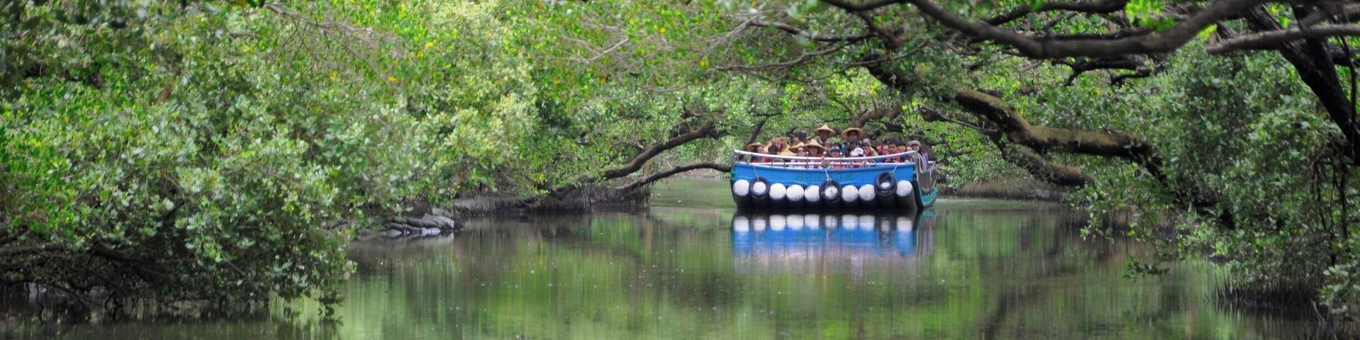 Tree tunnel in Tainan