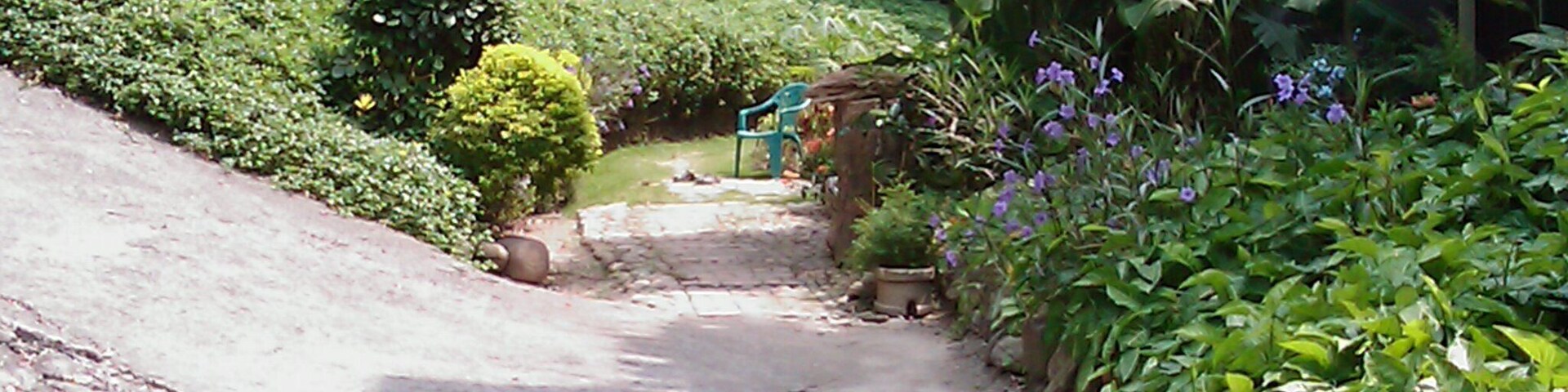 新生街的私人後花園