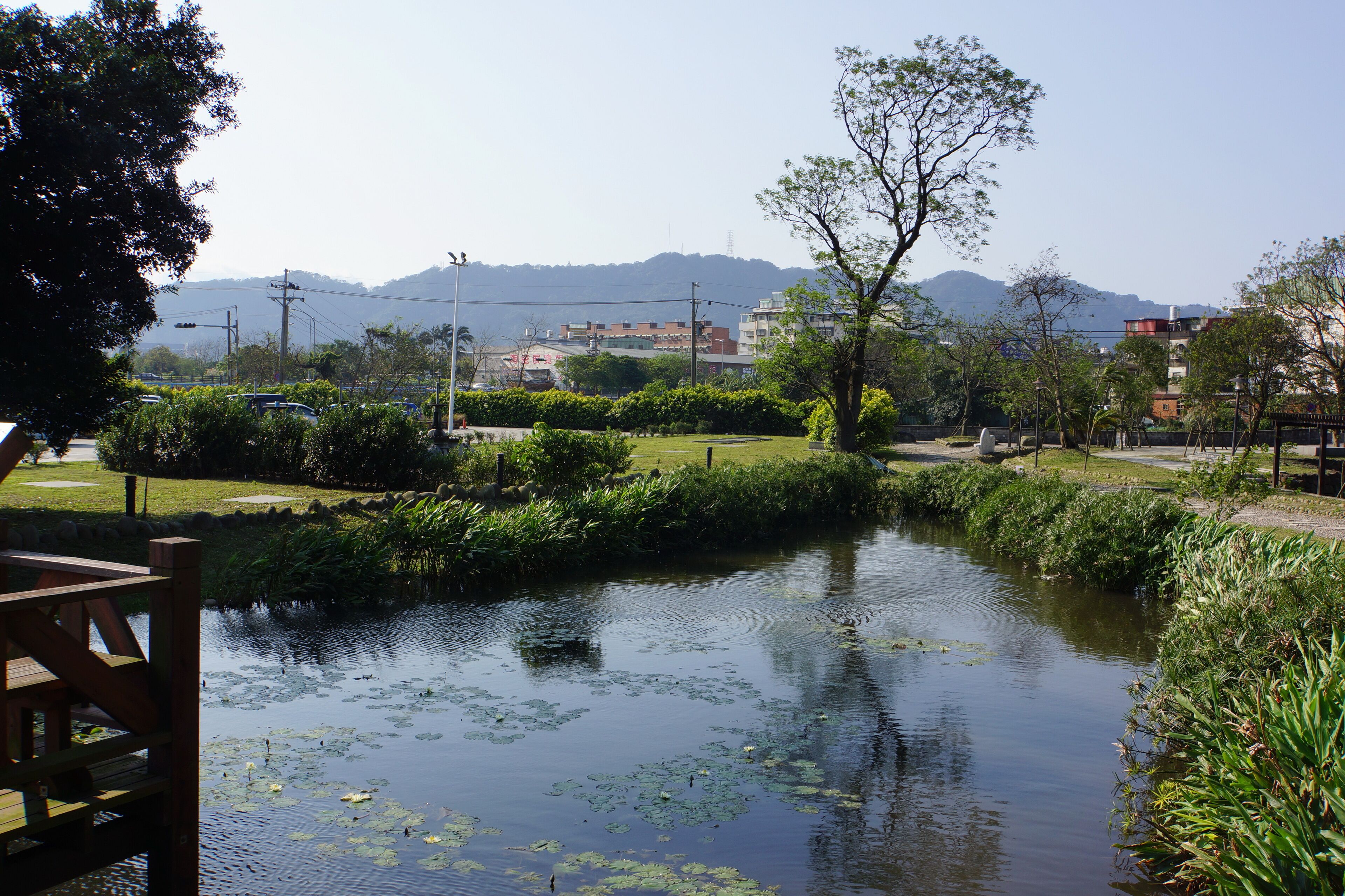 鶯歌礫間淨化場旁之生態池 Eco Pond Beside Yingge Gravel Water Treatment Plant