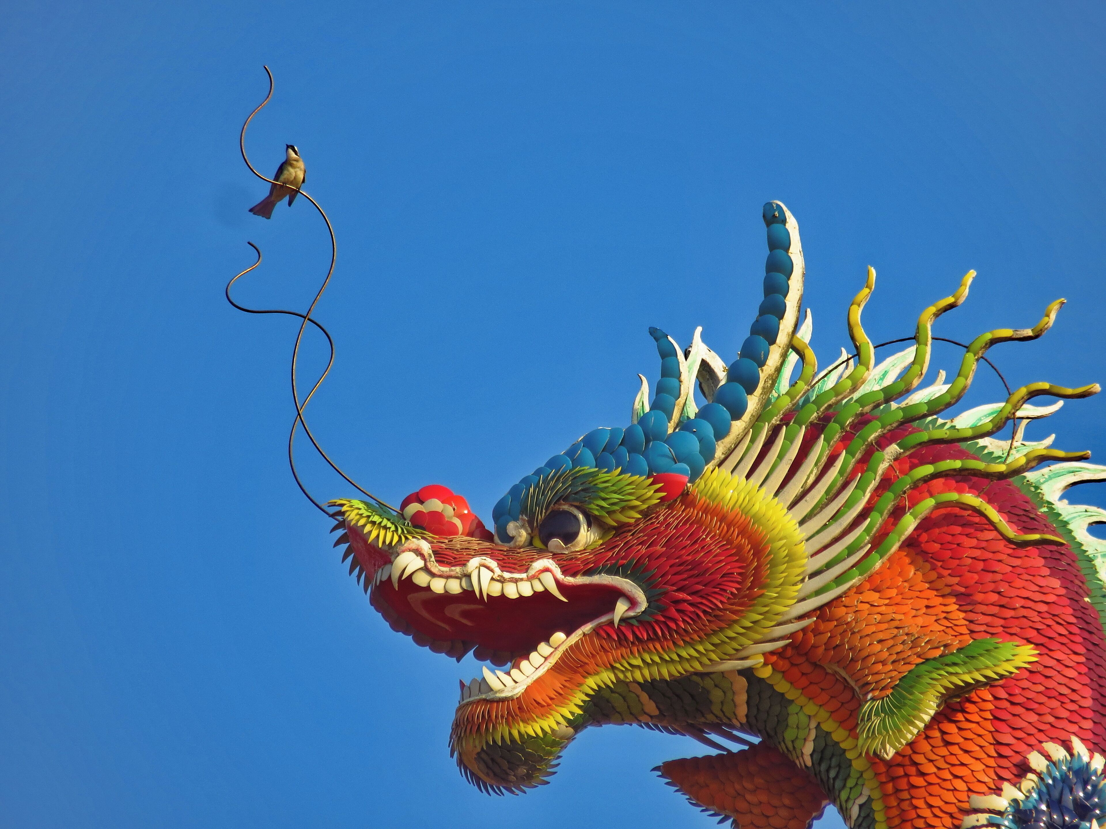 A colorful dragon sculpture with a bird perched on its tail.