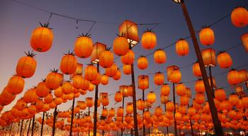 First Full Moon Festival(Taiwanese Lantern Festival) in Taiwan is called Guân-sia