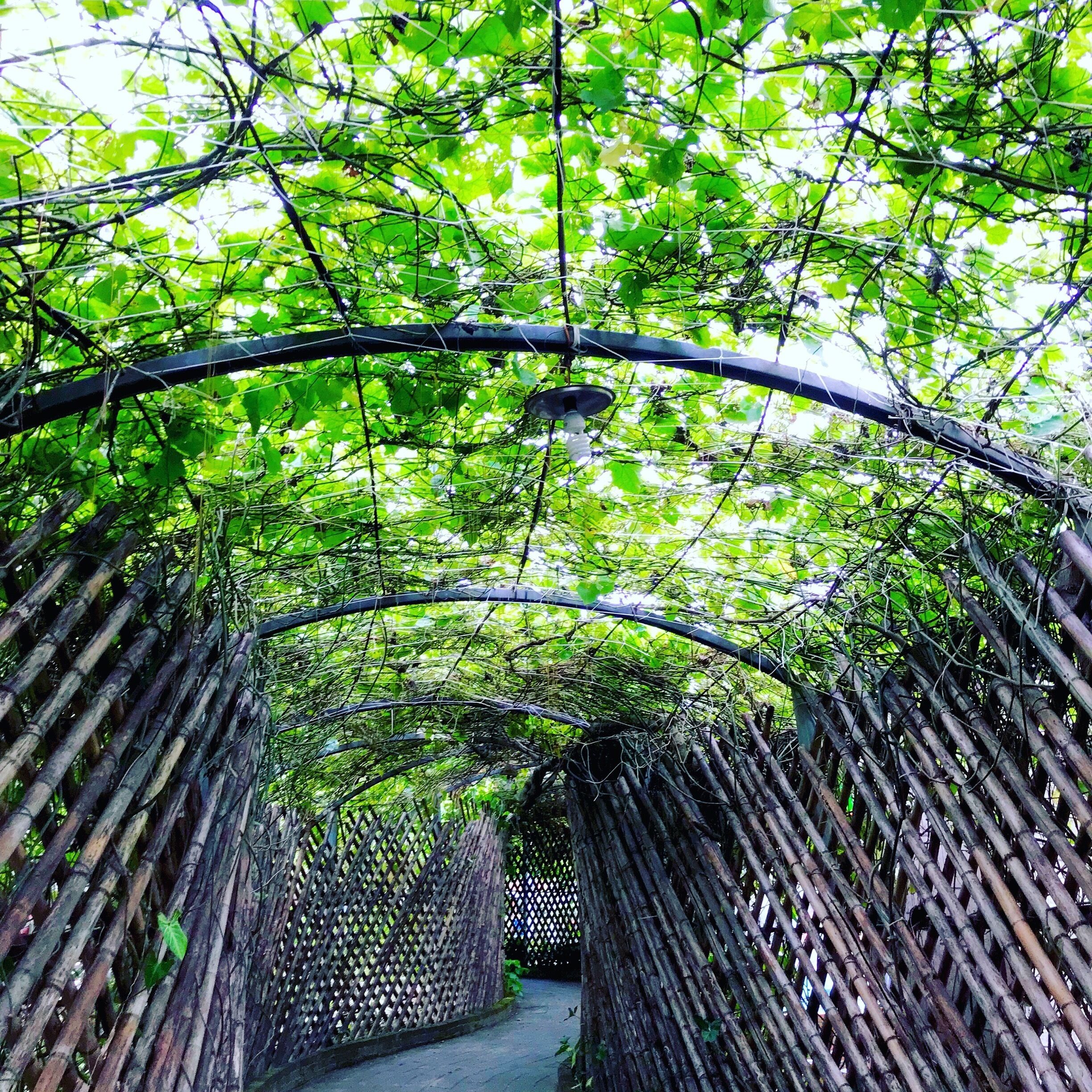 Uncle Mike’s Farm in Hsinchu, TW