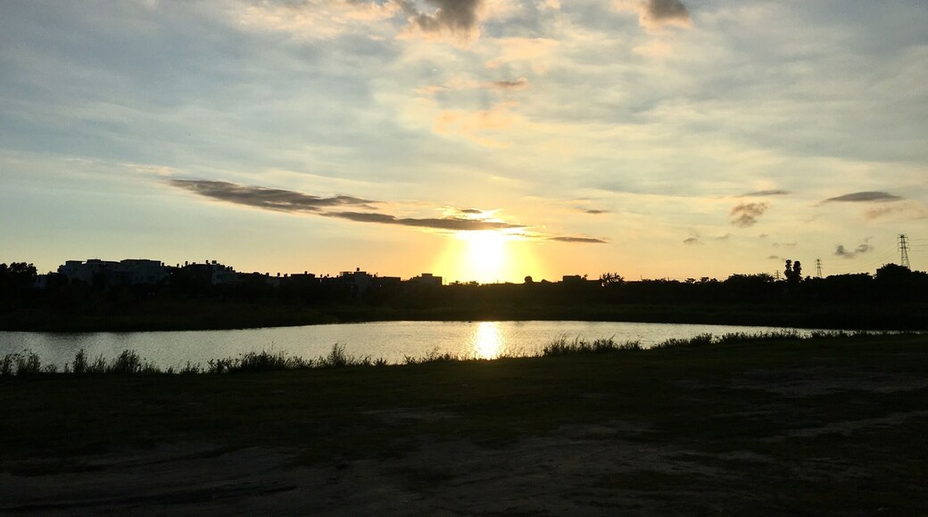 A good place to take a walk. U can go there either in the morning or evening.