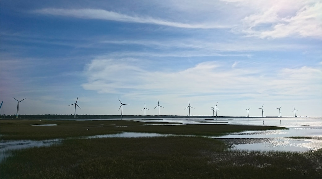 Paisaje con varias turbinas eólicas y una zona húmeda.
