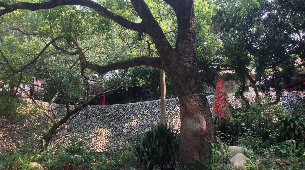 鯉魚伯公廟堤防靠河側