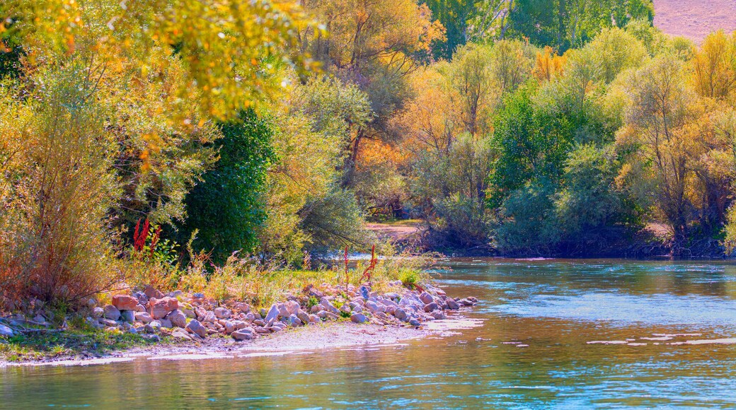 Munzur mount and national park, Munzur river in Ovacik - Tunceli, Turkey