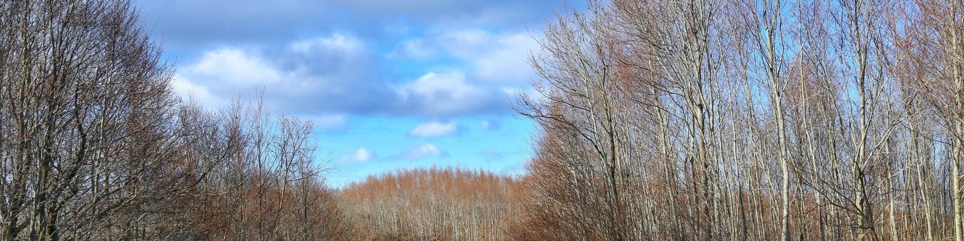 If you need a little weekend away in Istanbul, you will be happy to have a short road trip to Agva.
#LifeAtExpedia
#Roadtrip
#Turkey
#Istanbul
#Sky
#Travel
#tree
#Life
#Blue