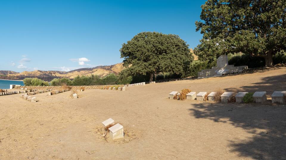A sandy beach with a stone wall and trees.
