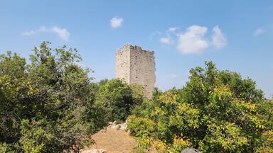 A stone tower surrounded by dense greenery.