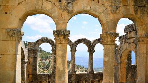 بلدية توموك