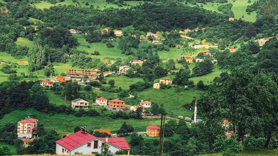 Green Tone Landscape at Trabzon Hamsiköy