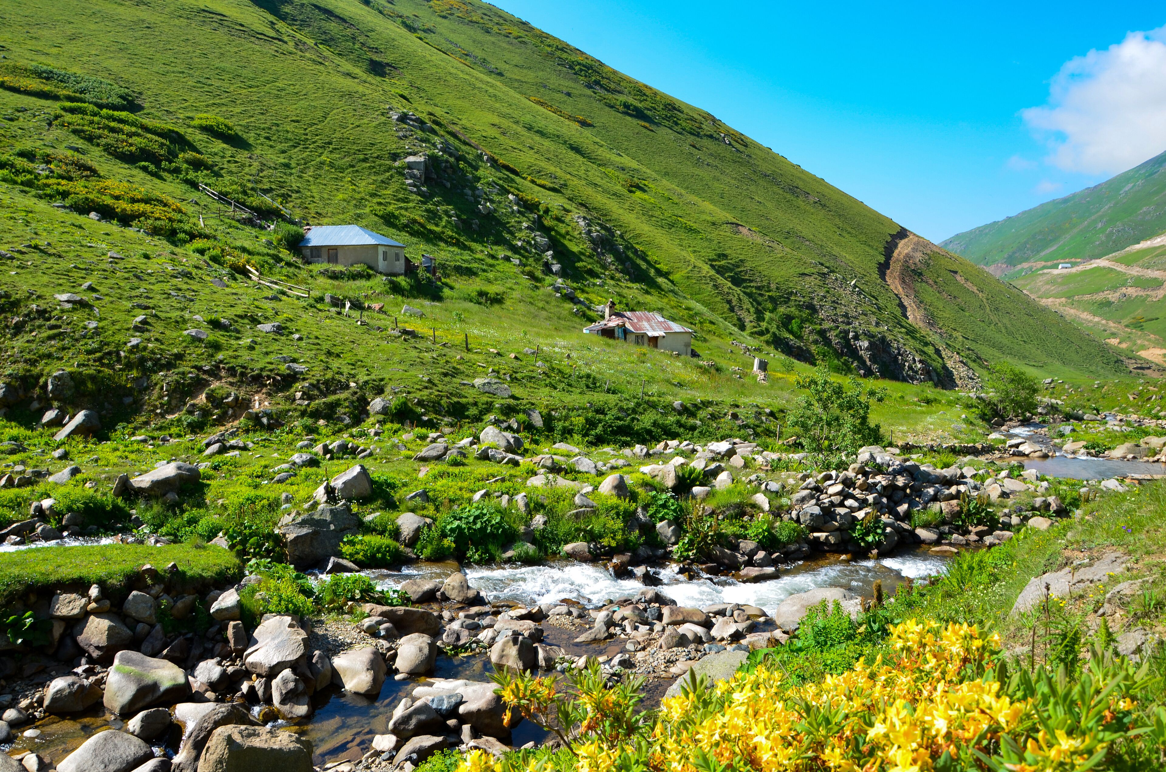 A green valley with a stream, rocks, and houses on a hillside.
