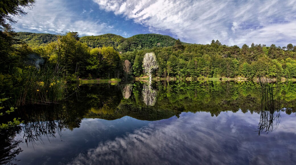 Dipsiz Lake, surrounded by forest, there are simple camping and picnic areas on the shore of this lake with nature view.