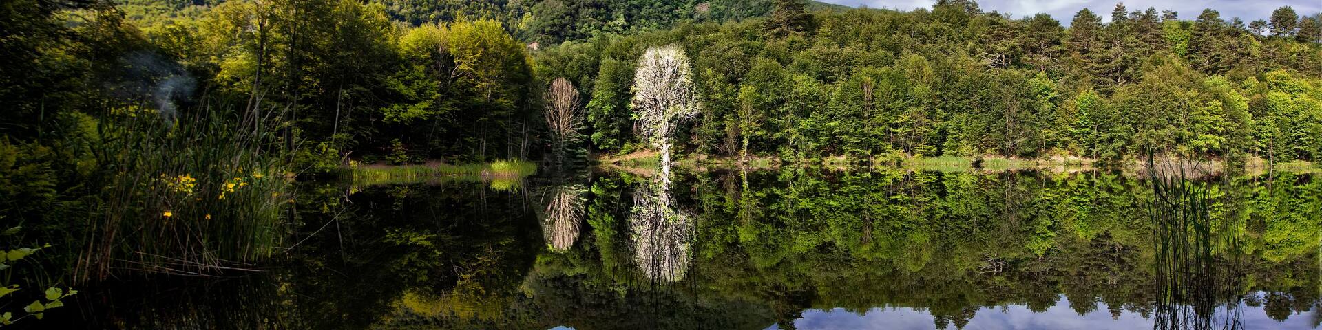 Dipsiz Lake, surrounded by forest, there are simple camping and picnic areas on the shore of this lake with nature view.